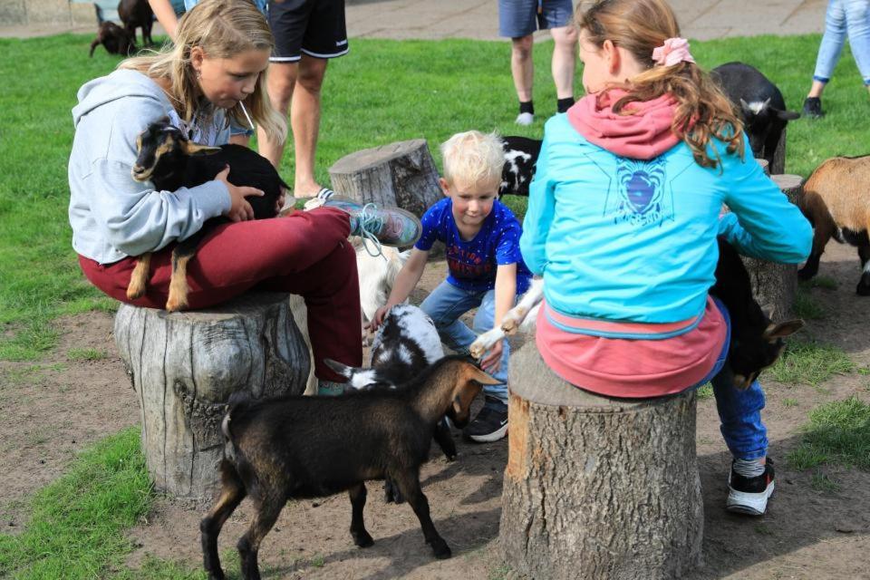 Huisje 86 - Vakantiepark 'T Hooge Holt Gramsbergen Luaran gambar